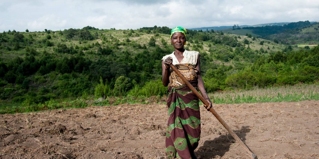 #JobAlert🚨@OneAcreFund is #hiring an #Agriculture Research & Partnerships Manager! APPLY NOW and help support farmers across #Africa. 
➡️ ow.ly/U0gf50RQPN6

@idealist @semasocialkenya
#recruiting #careers #Research #Nairobi #Kenya #SocialImpact #development