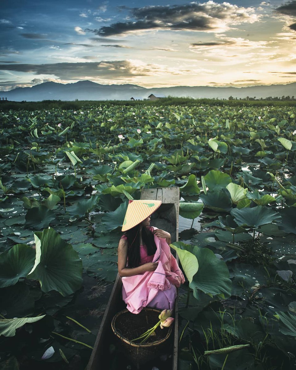 #IncredibleNE | A beautiful sunset at loktak lake, #Manipur 🌄🔆

📍 Manipur 
 
📸©️ @alexy_thiyam

@Manipur_Tourism @incredibleindia @tourismgoi