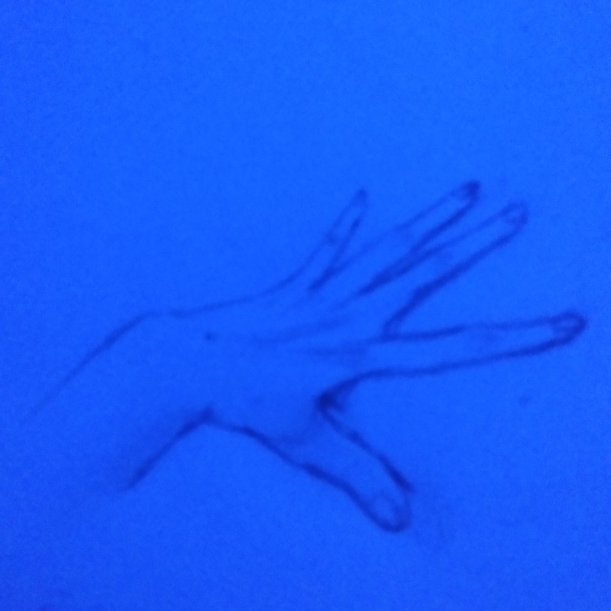 Hand #2
#art #drawing