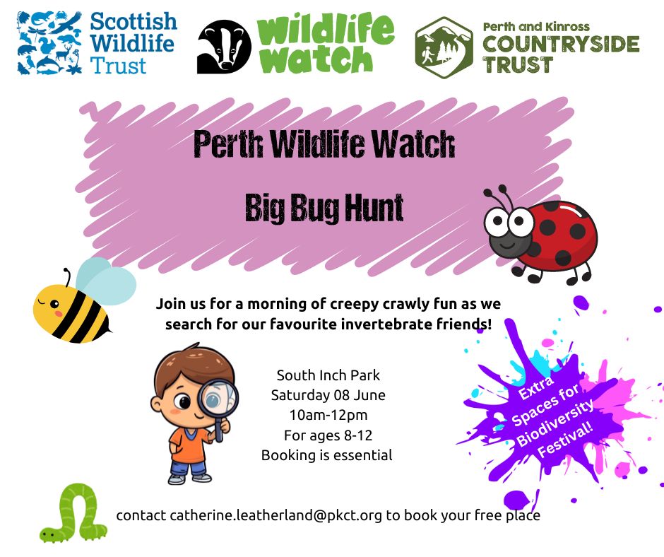 Perth and Kinross Countryside Trust (@pkctrust) on Twitter photo Come and explore South Inch park with us on 08 June and see which of our minibeast friends call it home! 🪲🕷️
This session is part of <a href="/pkclimate_a/">Perth and Kinross Climate Action</a> Nature Market and Cycle, and the Tayside Biodiversity Festival - lots of exciting things going on! 🚴♀️
#WildlifeWatch #Perth Come and explore South Inch park with us on 08 June and see which of our minibeast friends call it home! 🪲🕷️
This session is part of <a href="/pkclimate_a/">Perth and Kinross Climate Action</a> Nature Market and Cycle, and the Tayside Biodiversity Festival - lots of exciting things going on! 🚴♀️
#WildlifeWatch #Perth