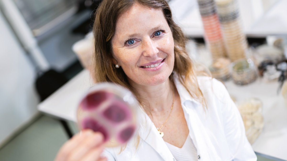 🗨️ #ÉpreuvePar7 | « Les moisissures sont magnifiques » — Monika Coton, Professeure des universités à <a href="/UBO_UnivBrest/">UBO - Univ. Brest</a>, spécialiste en écologie microbienne et diversité fonctionnelle des champignons
🦠👉 espace-sciences.org/sciences-ouest…