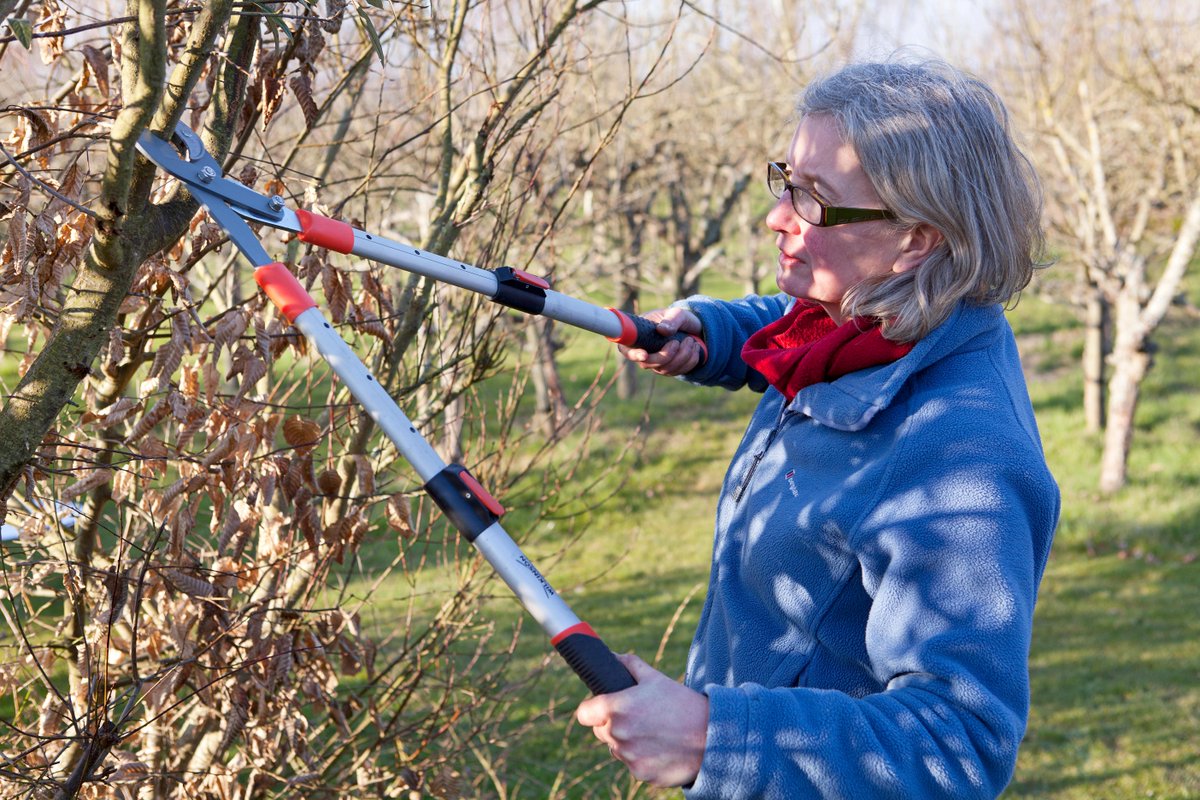 Trimming and shaping trees and shrubs with thicker growth can feel like a daunting task, but a strong pair of garden loppers is more than capable of tackling tougher jobs. Find our picks here: spr.ly/6010dyLlk