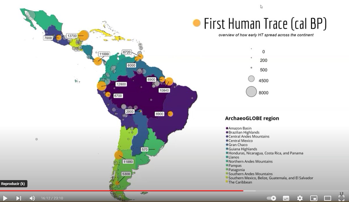 Paula Echeverría-Galindo tweet media