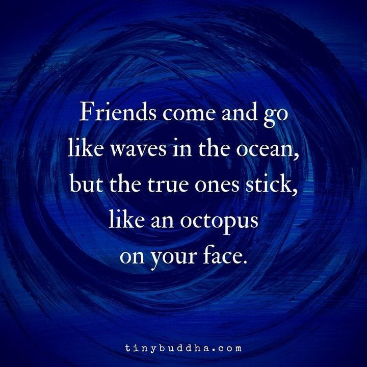 Friends come and go like waves in the ocean, but the true ones stick, like an octopus on your face. @gerizentime @lucianapatrizia @_successcenter_ @castellanosce @showoffbydesign @wil_bielert @tammyth04380014 @marekkosniowski @benkamaudigital @thatdudedenis