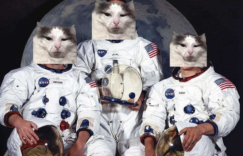 🔥 GRUMPY CAT DISCORD IS LIVE 🔥

🔔 Join us now: discord.gg/fgnhX3auNh

🎁 2 x 200 #CRO + 2 x $Cranky alloc among RT, like and ppl who join our discord! 🎁

24H, be fast! 😾 #Crofam #Cronos