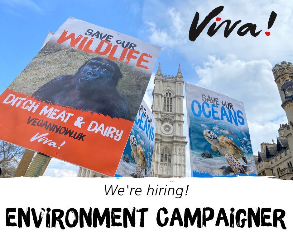 We're hiring!👉 Environment Campaigner

📍 Based from our Bristol office
🗓️ Application deadline: 9 June 2024

Apply now: viva.org.uk/about-us/vacan…

#bristol #veganjobs #bristoljobs