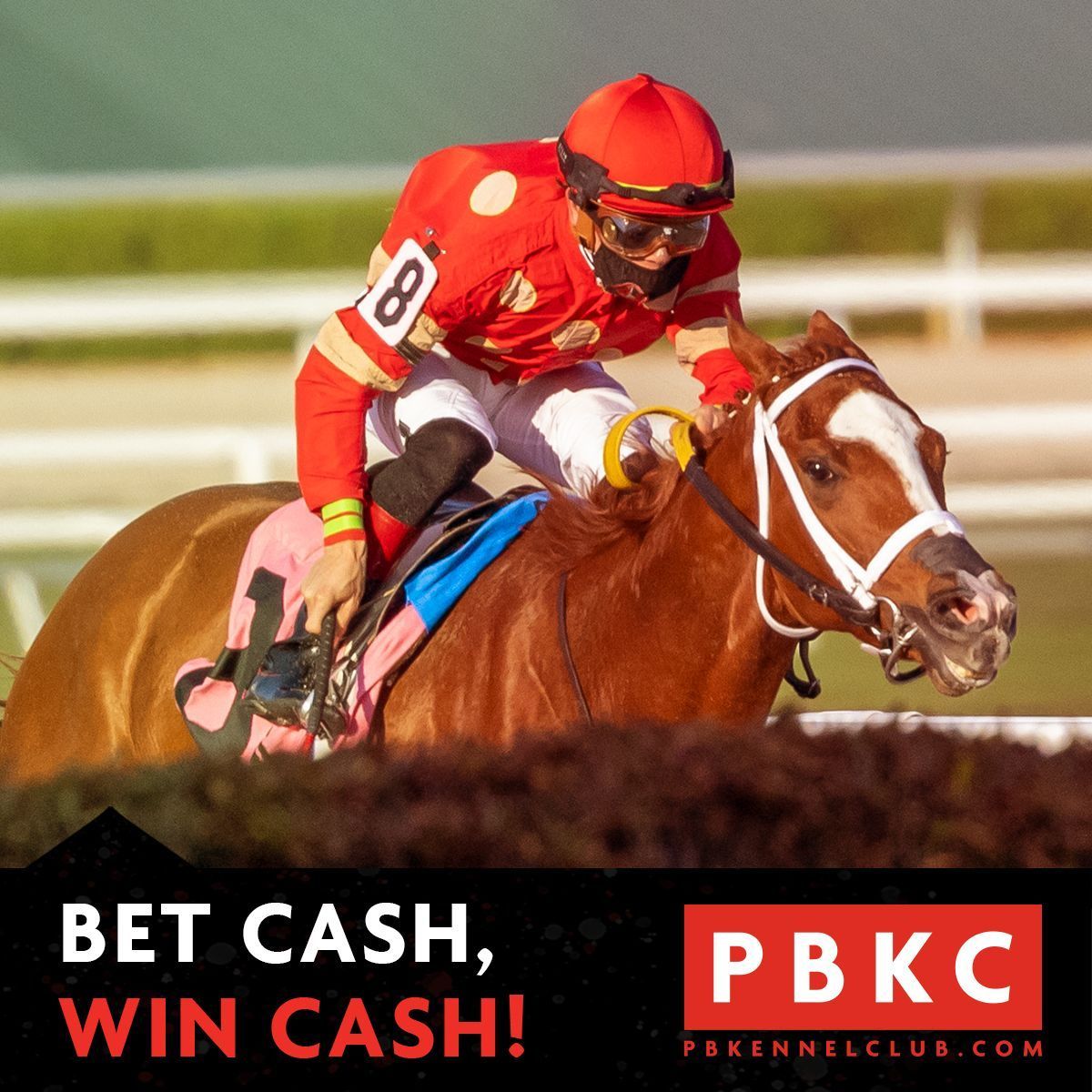 Bet cash, win cash! PBKC is the only OTB in Palm Beach County! Come play all the biggest races from all the best tracks! The Paddock Restaurant is the best place to play! #otb #horseracing #simulcast #bet #kentuckyderby #westpalmbeach