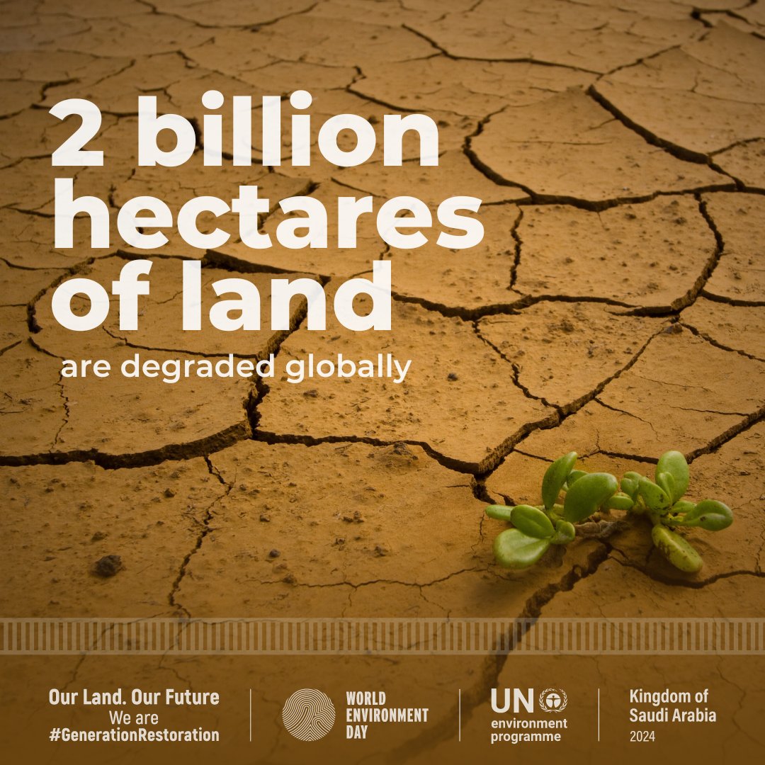 Drought, desertification & land degradation are a growing threat to humanity. But it's not too late to act.

This year’s #WorldEnvironmentDay calls for global action for our common future.

Take the #GenerationRestoration quiz to find out more: unep.org/news-and-stori…