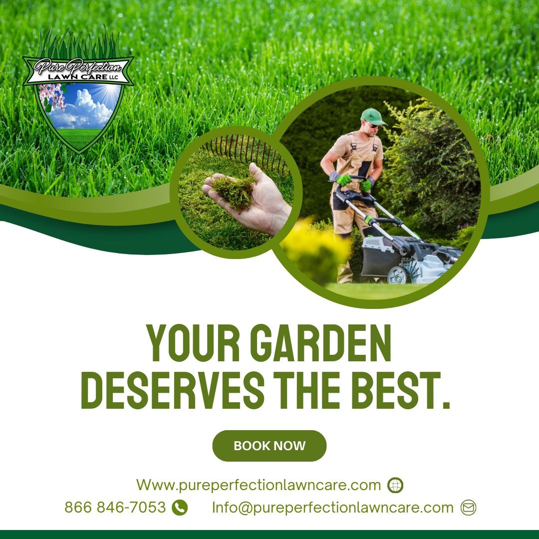 Your garden deserves the best: Entrust your garden to the experts at Pure Perfection Lawn Care and watch it flourish like never before. 🌻 Let's make your garden shine!

🌐 pureperfectionlawncare.com
📞 866 846-7053
📧 Info@pureperfectionlawncare.com

#PurePerfectionLawnCare