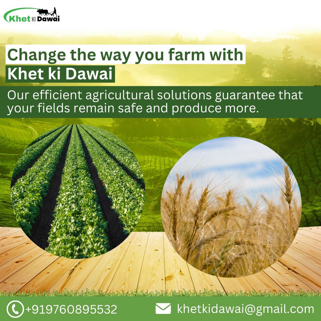 Transform your farming experience with Khet ki Dawai! Our effective crop solutions ensure your fields stay protected and yield better.

Reach us now: khetkidawai.com

#KhetKiDawai #FarmFuture #CropProtection #HighYield #FarmInnovation #BetterFarming