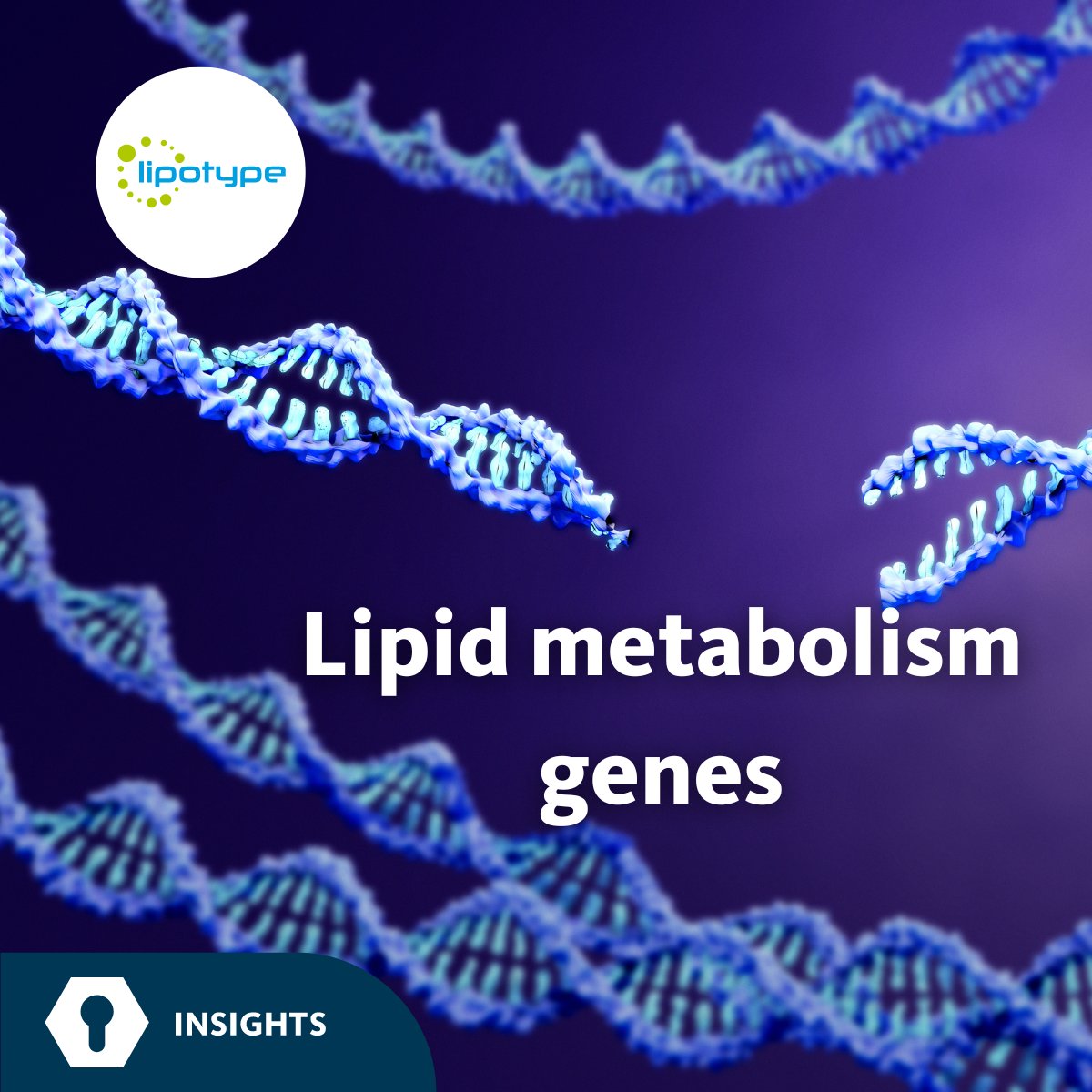 Scientists developed a systematic screening approach that combined lipidomic analysis with CRISPR/Cas9-based gene knockout involved in lipid metabolism.

More:
lipotype.com/lipidomics-res…

#research #lipid #lipidomics #LipidMetabolism #lipotype #lipidome #MassSpectrometry