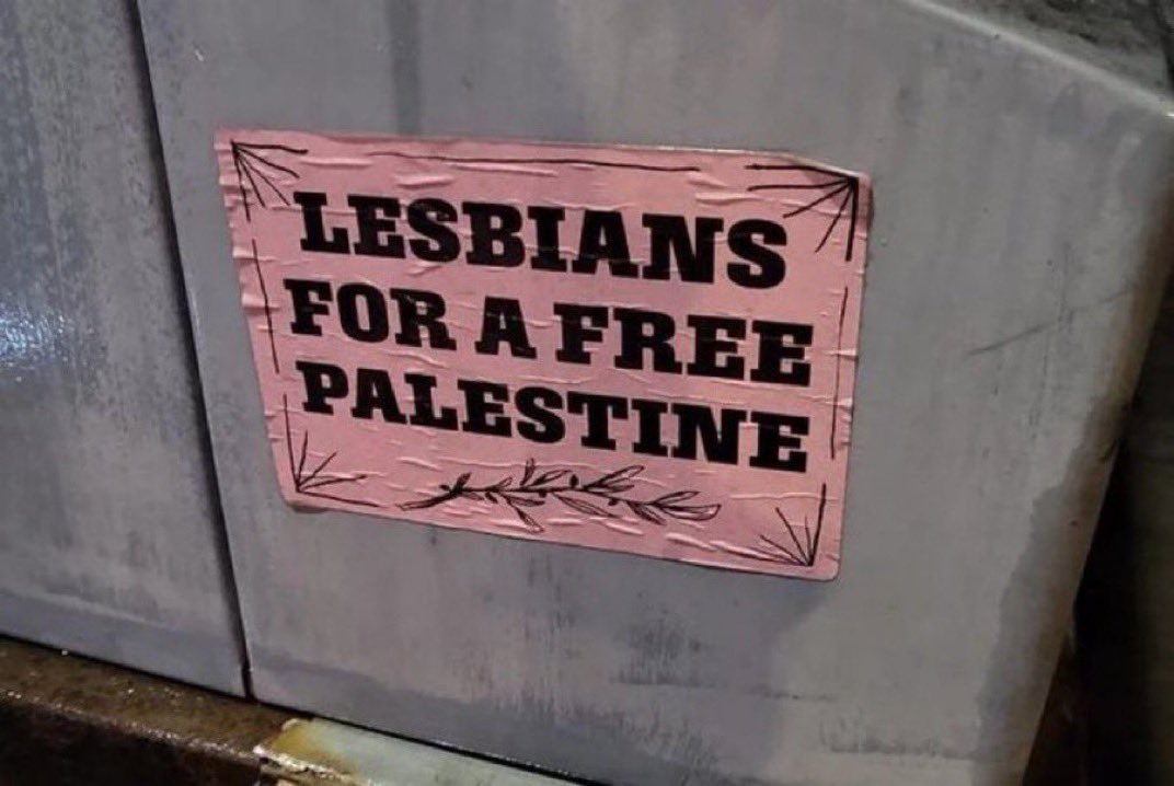 pride month is next month. while we celebrate our sexualities and who we are thousands of palestinian’s will be killed everyday. please do not forget about the queer palestinian’s. please dont let the genocide divide us. we are one. queer palestinian’s exist too!