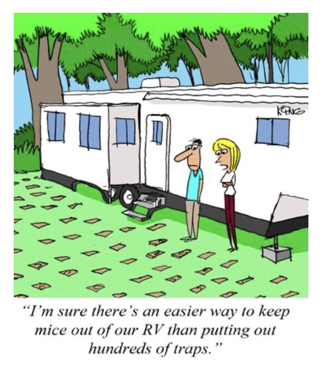 swiftrvrepairs's tweet image. Oh yeah, there ís an easier way! 👍😄 Check out our BLOG: RV Mice Control by clicking on this Link ➡️ loom.ly/GkArX-4 and read all about this service we provide! Call NOW: 403-919-4911 + BOOK an appointment! We Get You on the Road Again! Safe &apos;n Sound! #swiftrvrepairs