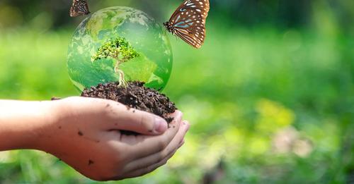 Difendere la #biodiversità, l’appello degli accademici su The Lancet. Tra i firmatari anche Flavia Guzzo, docente del Dipartimento di #Biotecnologie.
bit.ly/3Vk3ws1
