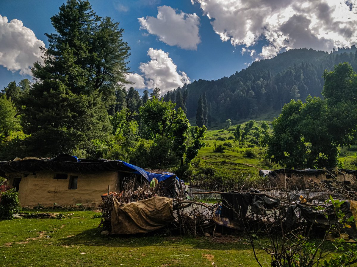 Scenic view in Pahalgam Kashmir.

#beautiful #background #scenic #shotononeplus