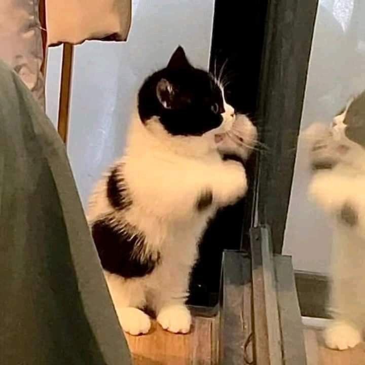 aomsinnty's tweet photo. เหมือนกันเยยหนิ่ 😾 https://t.co/R1397tzeaB