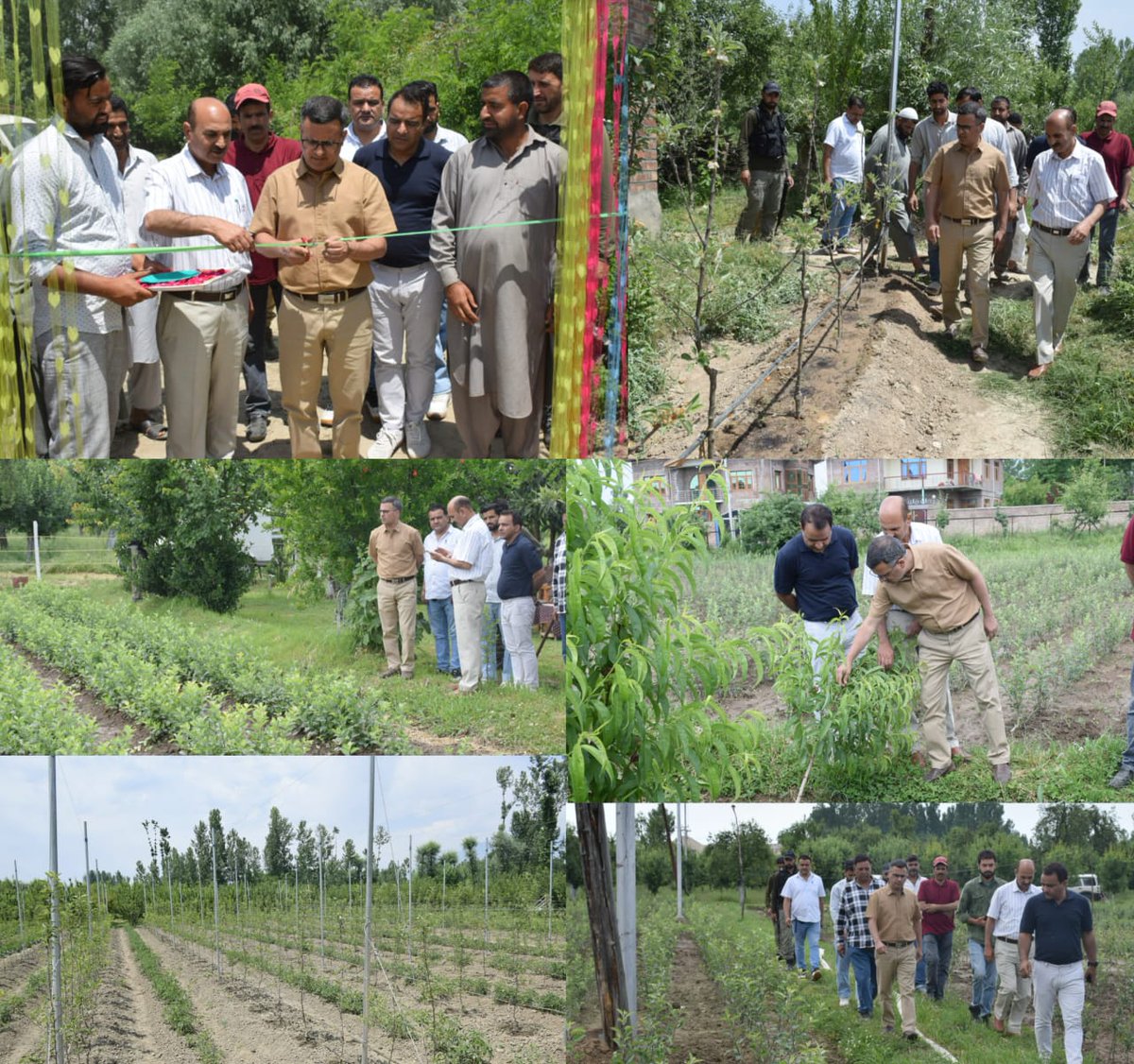 DC Bandipora, Shakeel Ur Rahman visits Sumbal Sub Division, Inspects various developmental works under Horticulture Sector. Inaugrates 04 High Density Mother Block Apple orchards.*l @diprjk @dcbandipora