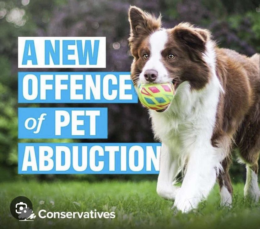 🇬🇧🇬🇧Good News🇬🇧🇬🇧 A stolen Family Pet is an owners worst nightmare… On May 25, the Pet Abduction Act passed into law, creating 2 new criminal offences of dog abduction & cat abduction in England & Northern Ireland. The offences will have a MAX term of imprisonment of 5 years, a