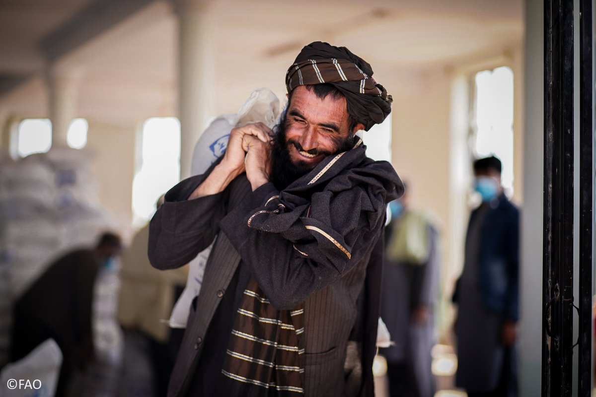 The number of people facing acute food insecurity in Afghanistan has dropped from 15.3 million to 12.4 million. This still represents over ¼ of the population, but shows that #AgricultureCan reduce hunger and support livelihoods. bit.ly/452wwYE