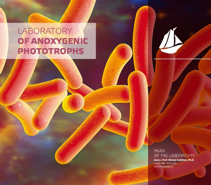 apb_lab's tweet image. PhD project Dual Phototrophy! We are looking for motivated students to investigate exciting organisms which harvest light energy by bacteriochlorophyll as well as proton-pumping rhodopsins!  For more information see►alga.cz/en/c-670-caree…