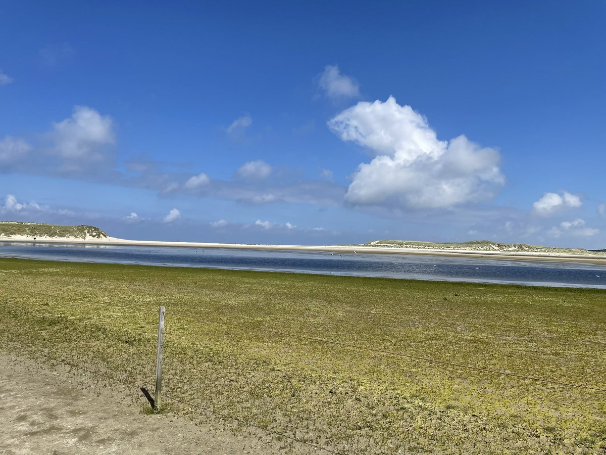 Miranda Den Tuinder - van Meteren tweet media