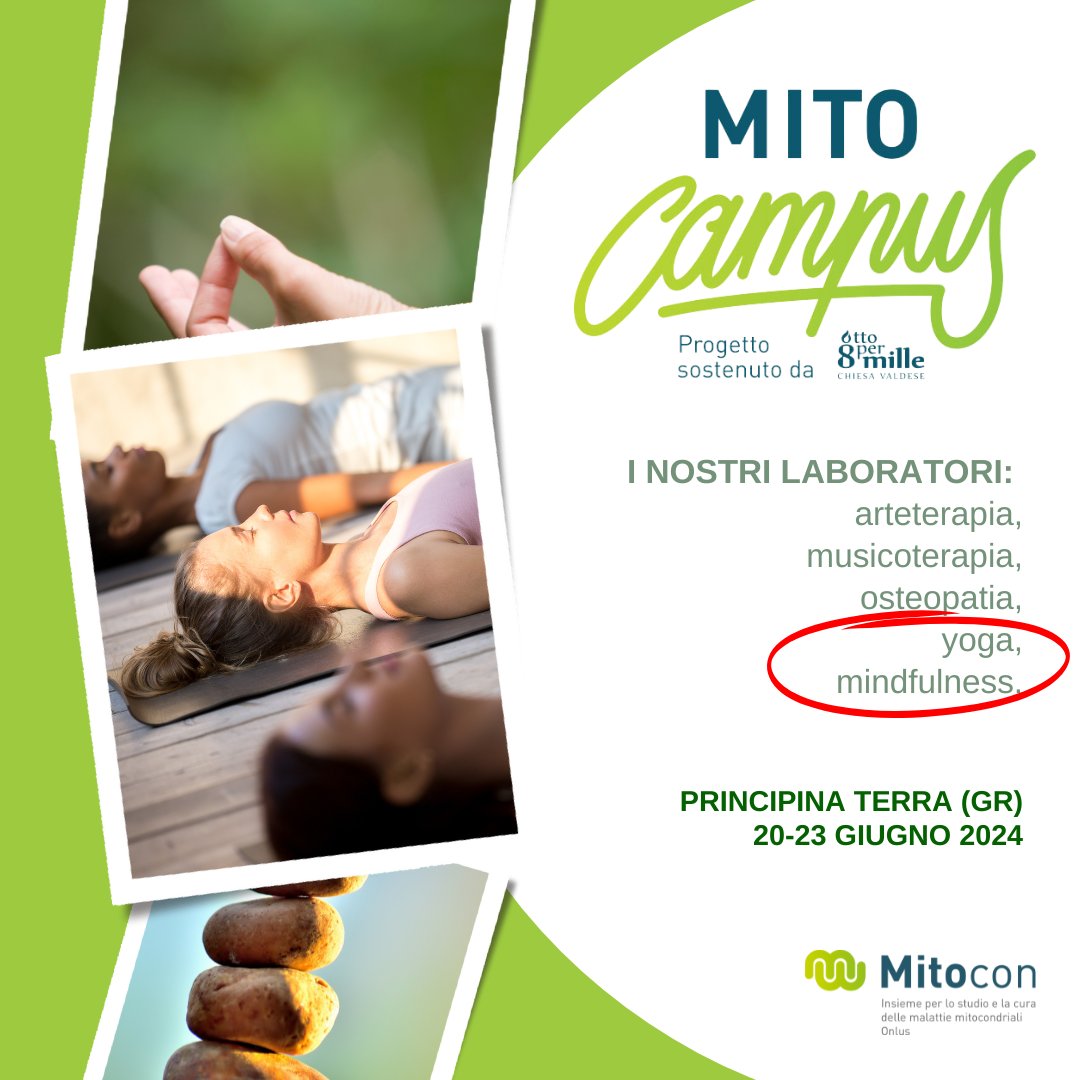 MitoconOdv's tweet image. 🧘 Esplora la tua #mente e trasforma il tuo #essere al #MitoCampus2024!
🌿 Unisciti a noi dal 20 al 23 giugno per #yoga e #mindfulness nella splendida Fattoria La Principina a Grosseto. Grazie all'8×1000 della #chiesavaldese, il costo è simbolico.✨
