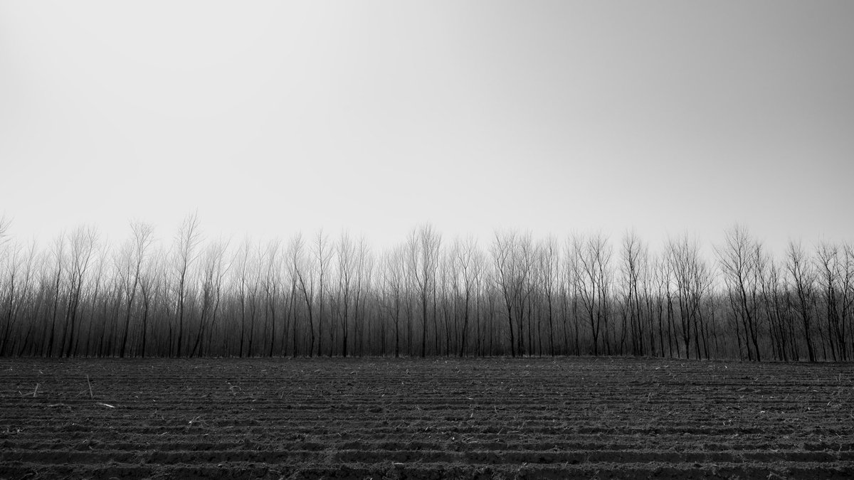 jon92048449's tweet photo. Share57 

The withered world
#Nature #Landscape #Monocolour https://t.co/HtdwFqre7e