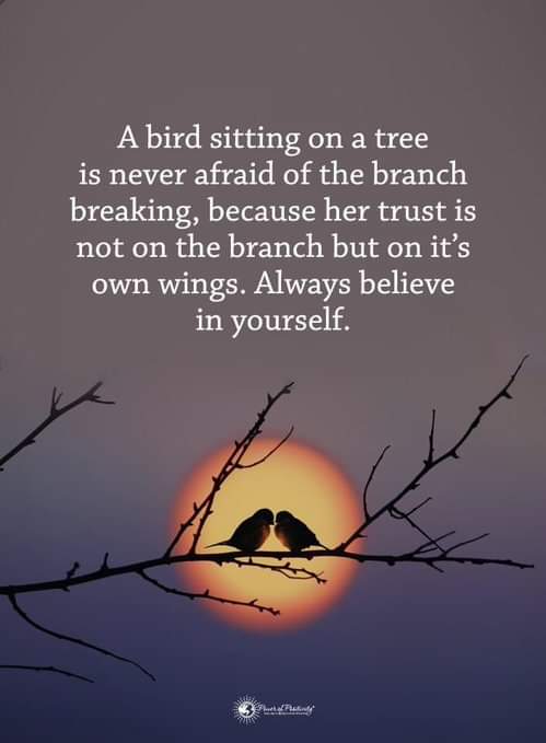 Heather Wilkin (@heatherwilkin8) on Twitter photo 