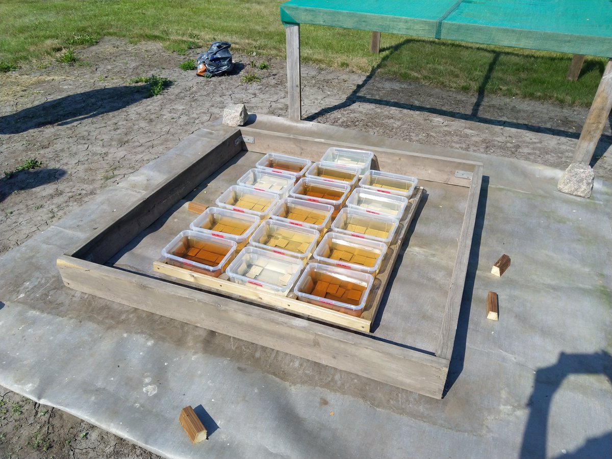 soininen_janne's tweet photo. Preparing the biofilm experiment in Kumpula campus @GeoHelsinkiUni @luomus https://t.co/Zojqkg4FcI