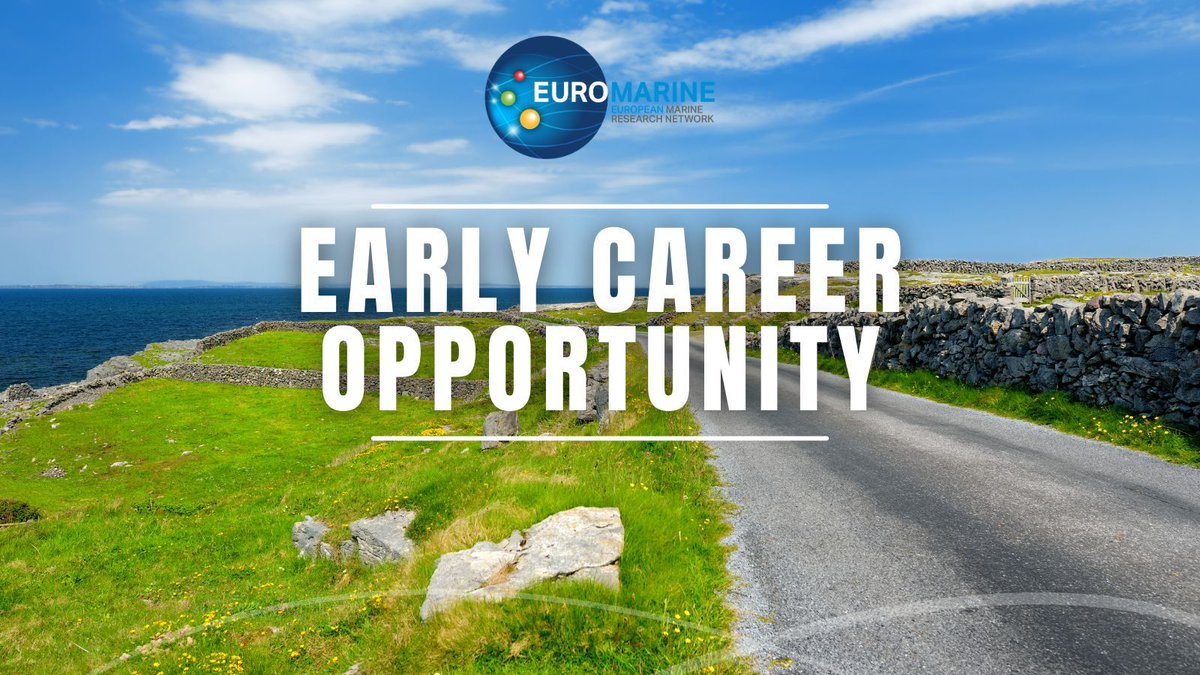 Euromarine_tw's tweet photo. 🌿 Join the #SeaForest Project! 🌊 @uniofgalway is hiring 2 Research Assistants to study five #kelp species & associated #biodiversity along Ireland's coast. 🗓️ Apply by June 7! Salary: €31,150 - €41,033 https://t.co/waJ3q0Jh4v https://t.co/cSxqwMuV5w
