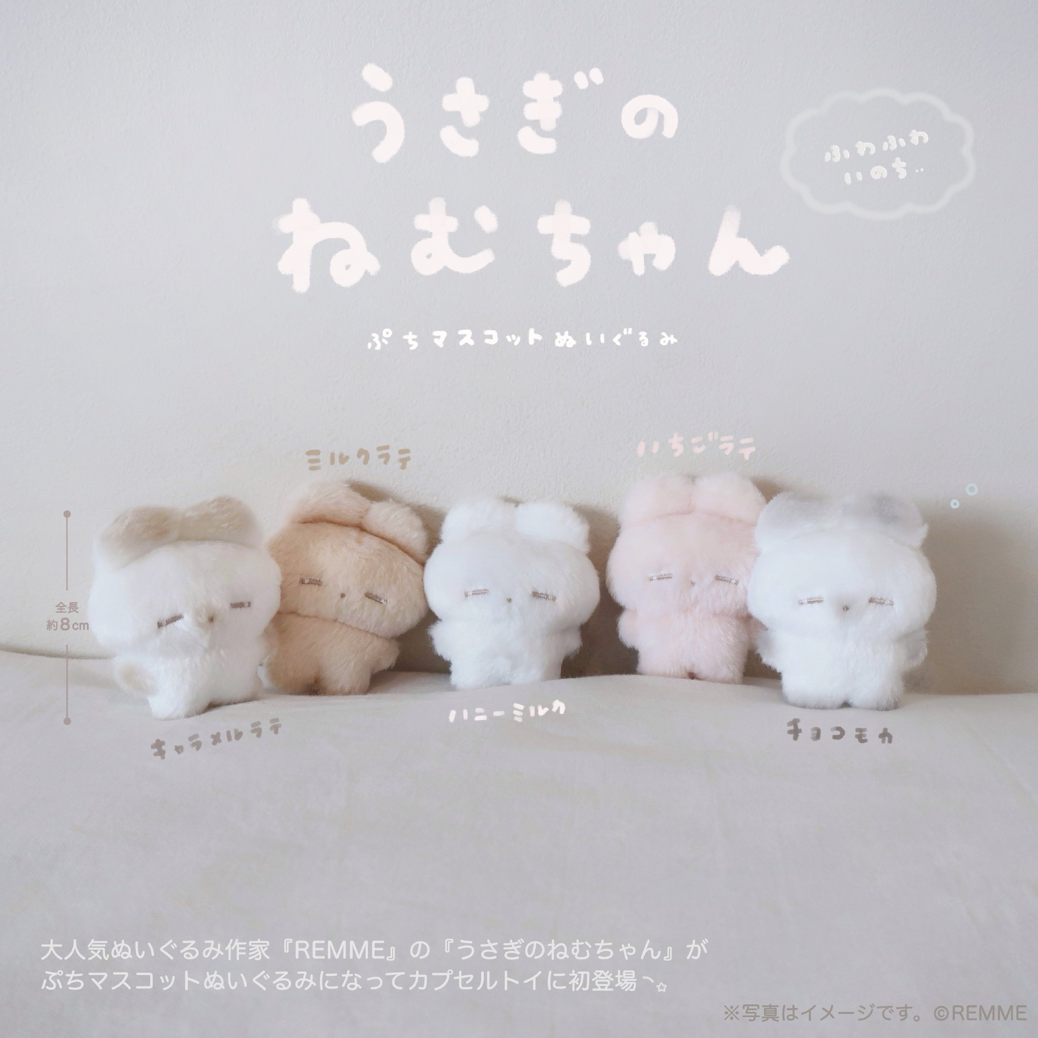 Amazon.co.jp: うさぎのねむちゃん ちゃみみちゃん REMME