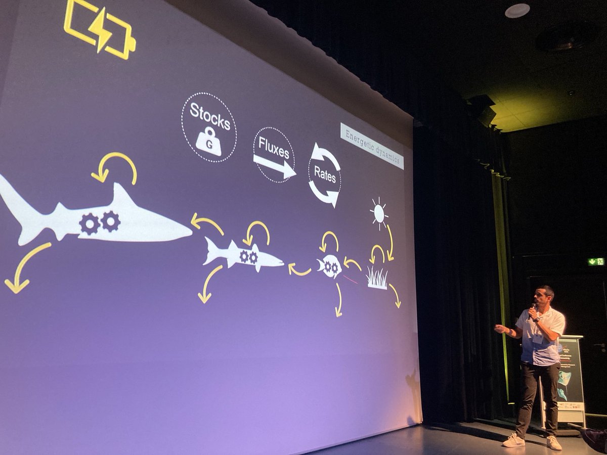 ADarnaude's tweet image. Amazing keynote by Renato Morals on energetic connectivity at the #imarco2024 conference on #marine #connectivity in Montpellier. ⁦@SeaUnicorn2020⁩ ⁦@umrMARBEC⁩