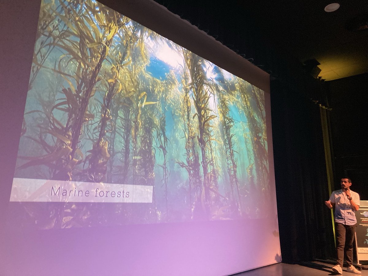 ADarnaude's tweet image. Amazing keynote by Renato Morals on energetic connectivity at the #imarco2024 conference on #marine #connectivity in Montpellier. ⁦@SeaUnicorn2020⁩ ⁦@umrMARBEC⁩