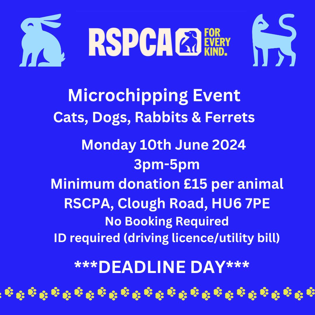 After the success of our microchipping event  and cat  microchipping laws fast approaching, we have are holding another microchipping day on Monday 10th June 3pm-5pm, no need to book just come down on the day, this event is open to all. Minimum donation of £15 per microchip.