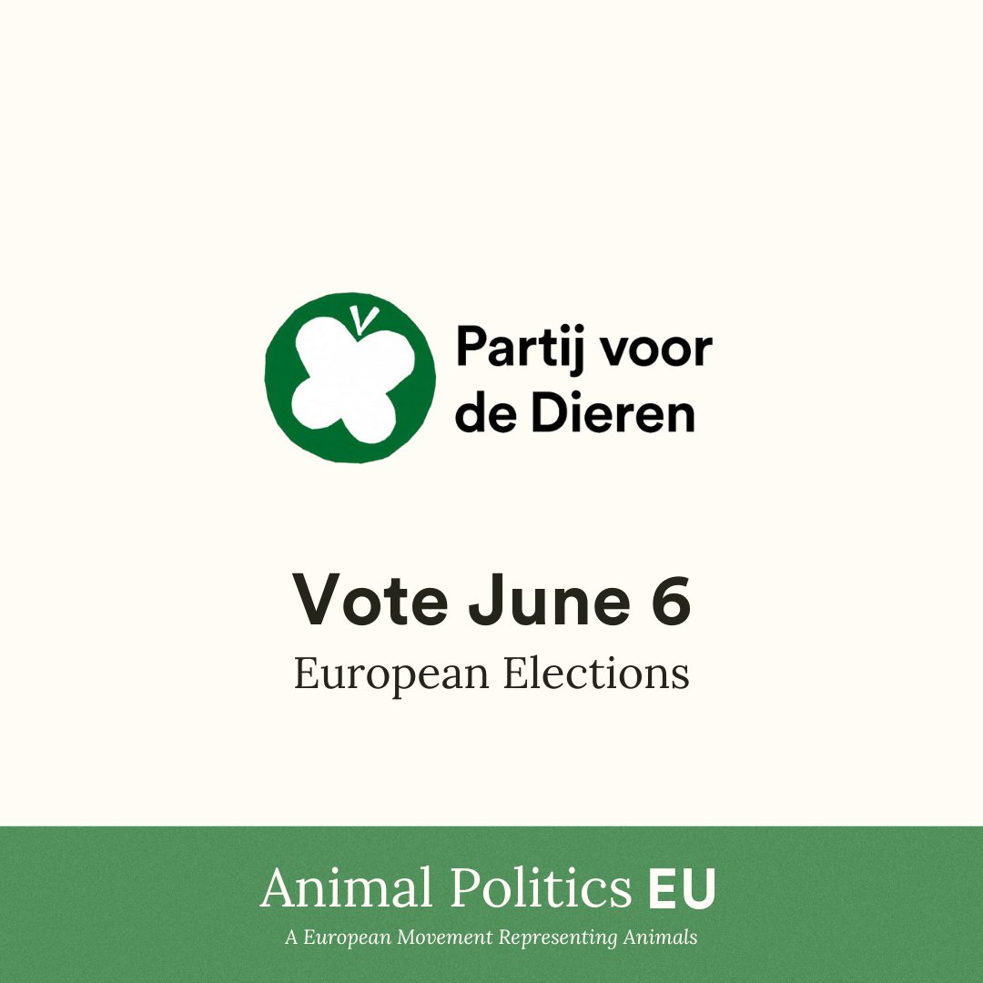 #AnimalPoliticsEU #TeamPlanet #UseYourVote #VoteForAnimals