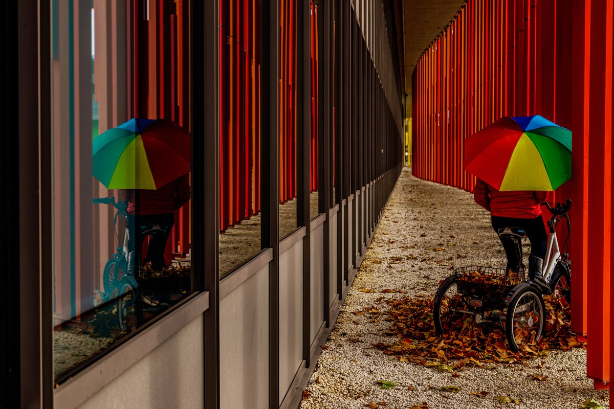 Seguimos con otra ganadora del Concurso de Fotografía 2024 con @Ciclosfera. En 'Veteranos en bici', Oscar Saavedra nos ha conquistado con 'La bicicleta del vigilante': color, otoño, tranquilidad. Un triciclo y un paraguas. ¡Qué serena y sencilla composición! #30diasenbici