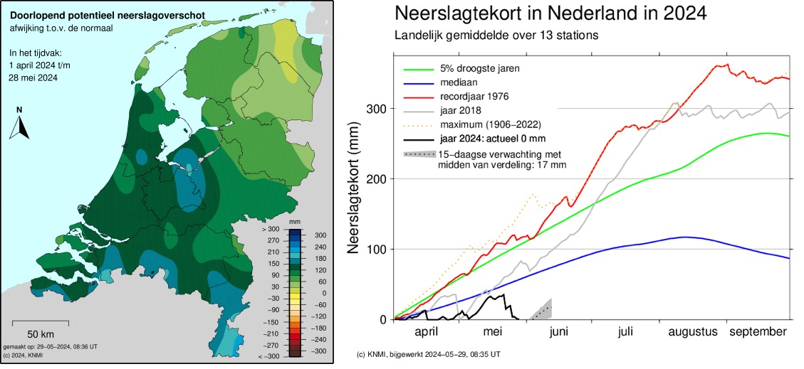 In het groeiseizoen verdampt er meer water dan er valt: het 'neerslagtekort'. Inmiddels hebben we een vet negatief tekort (overschot) - In Groningen tussen 0 en 30 mm (voor gewassen en bodem te weinig!) - in zuid-Limburg tussen 210 en 240 mm (voor gewassen en bodem veel te veel!)