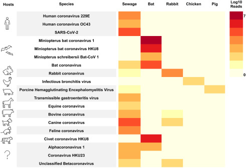 Facultat de Biologia UB tweet media