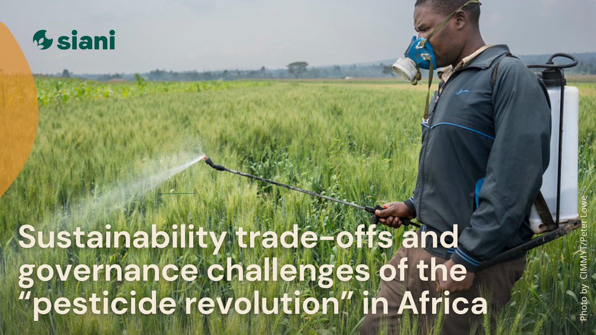 NEWS STORY ⎮

In a research project in #Zambia, #farmers' perspectives on #pesticides and governance challenges were examined using participatory mapping techniques to propose practical solutions for improved governance.

buff.ly/3VfMDyx