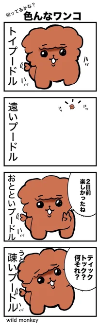 【4コマ漫画】色んなワンコ

#4コマ #4コマ漫画  
#漫画が読めるハッシュタグ 