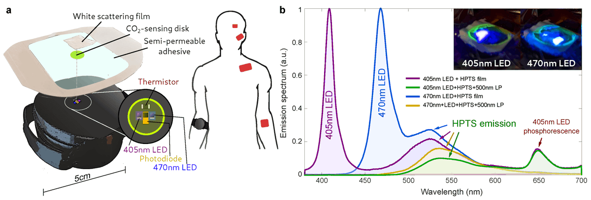Biosensors_MDPI's tweet photo. #Article
A Patient-Ready Wearable Transcutaneous CO2 Sensor by Juan Pedro Cascales, et al.
https://t.co/VGu6gOawkp
@MDPIOpenAccess @ChemMatSci_MDPI @harvardmed
#CO2partialpressure #transcutaneoussensor #luminescentprobe #HPTS #wearabledevice #openaccess https://t.co/QohwlgtTGp