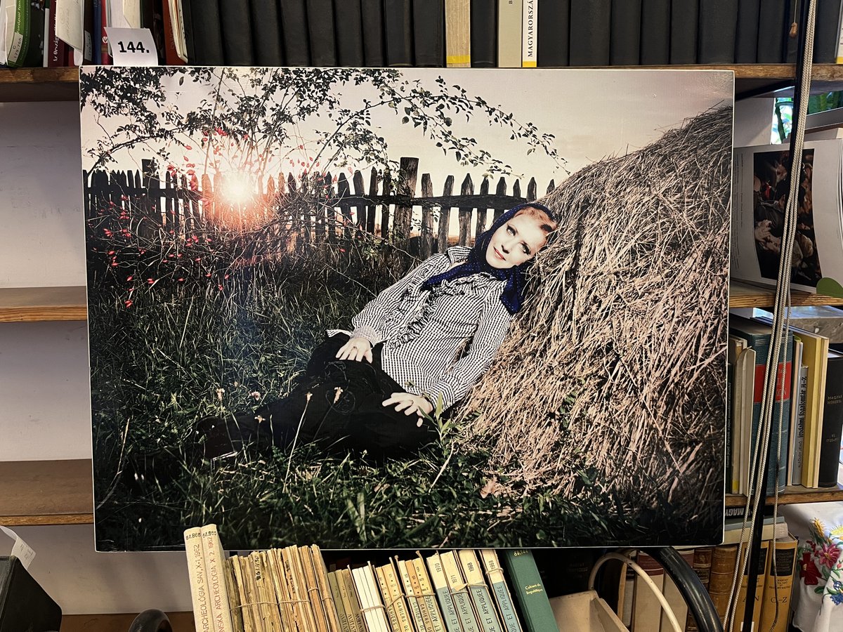 nemzetikonyvtar's tweet image. Szeretettel várja önöket Hum Balázs István könyvaukciónkra, 2024. május 22-én! 
A Múzeumok Éjszakáján próbára tehetik gyűjtőkedvük hőfokát: tudnak-e küzdeni a végsőkig vagy éppen veszteni emelt fővel. #múzéj