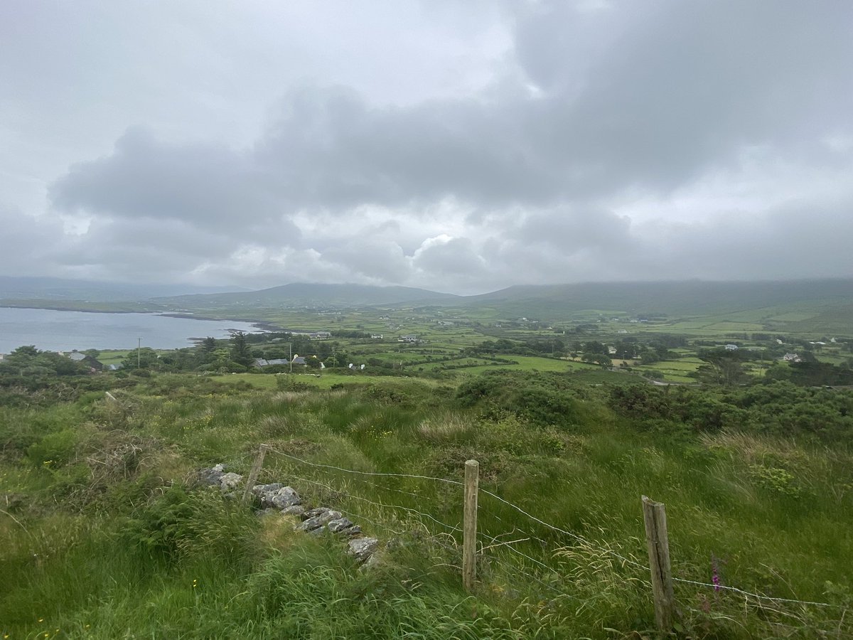 Finbarr Mc Carthy tweet media