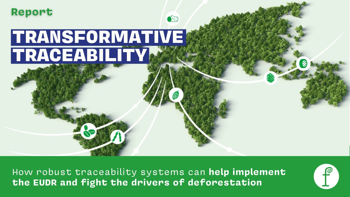 At the end of 2024, companies will need to start complying with the EU #Deforestation Regulation (#EUDR) &amp; show where their imported goods come from.

Our new report lays out a set of 10 criteria for a credible &amp; transformative #traceability system 👇
fern.org/publications-i…
1/2