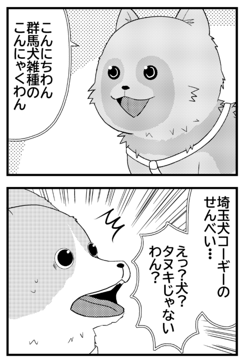 ぜ ろ わん たぬき
