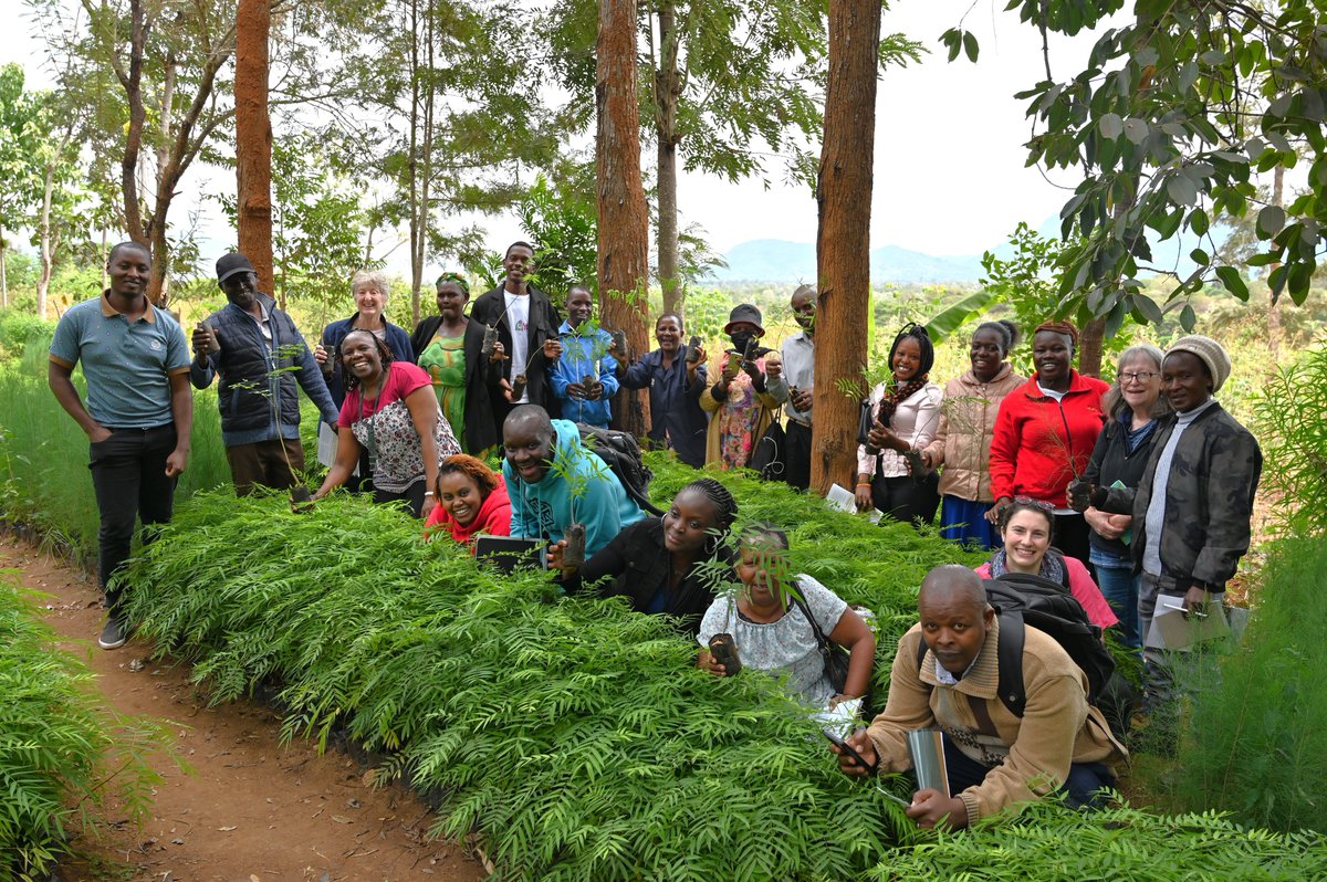 #ACIAR and @CIFOR_ICRAF's collaboration is advancing #agroforestry systems aimed at enhancing #Sustainability, uplifting farmer incomes, & rejuvenating landscapes. Learn more: 📲bit.ly/3O4LV3j 🌳bit.ly/43nItY1 📗bit.ly/41IkDFo #PartnershipsForTheGoals