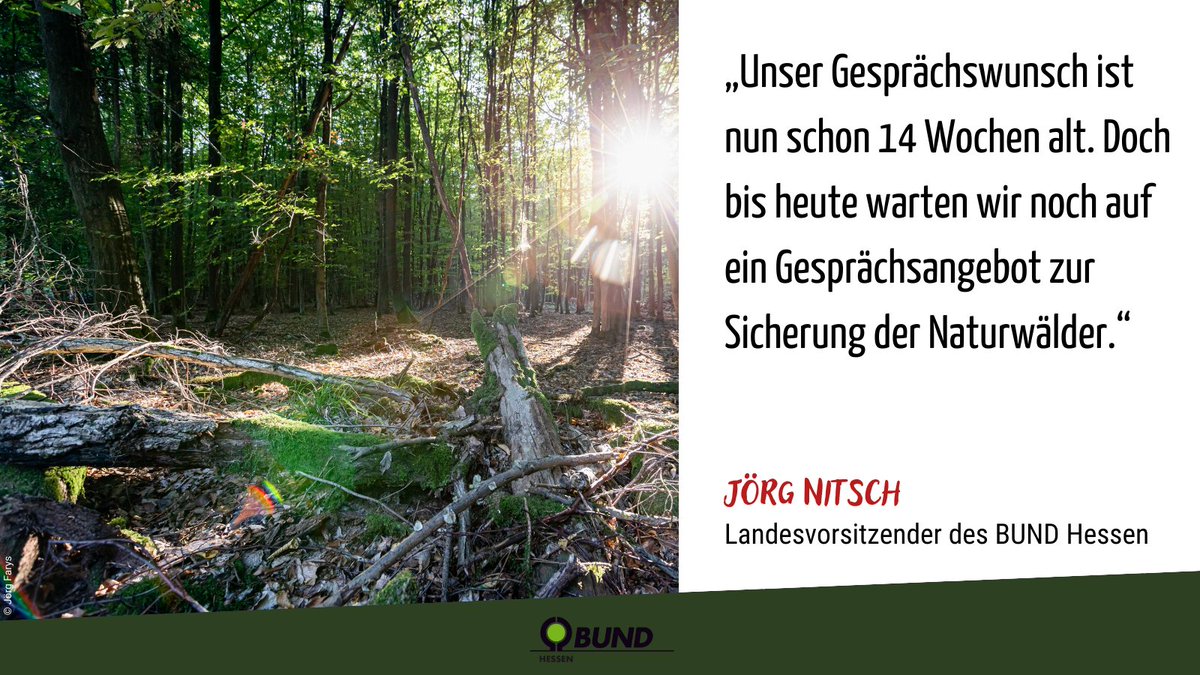 Seit der Überraschung, große #Naturwälder in Hessen nicht mehr als Naturschutzgebiete auszuweisen, warten wir auf eine Antwort & ein Gesprächsangebot von Umweltminister Jung. Naturwälder unter Schutz zu stellen, sichert die Wälder von morgen! 🌳 bund-hessen.de/pm/news/bund-f… @HGON_eV