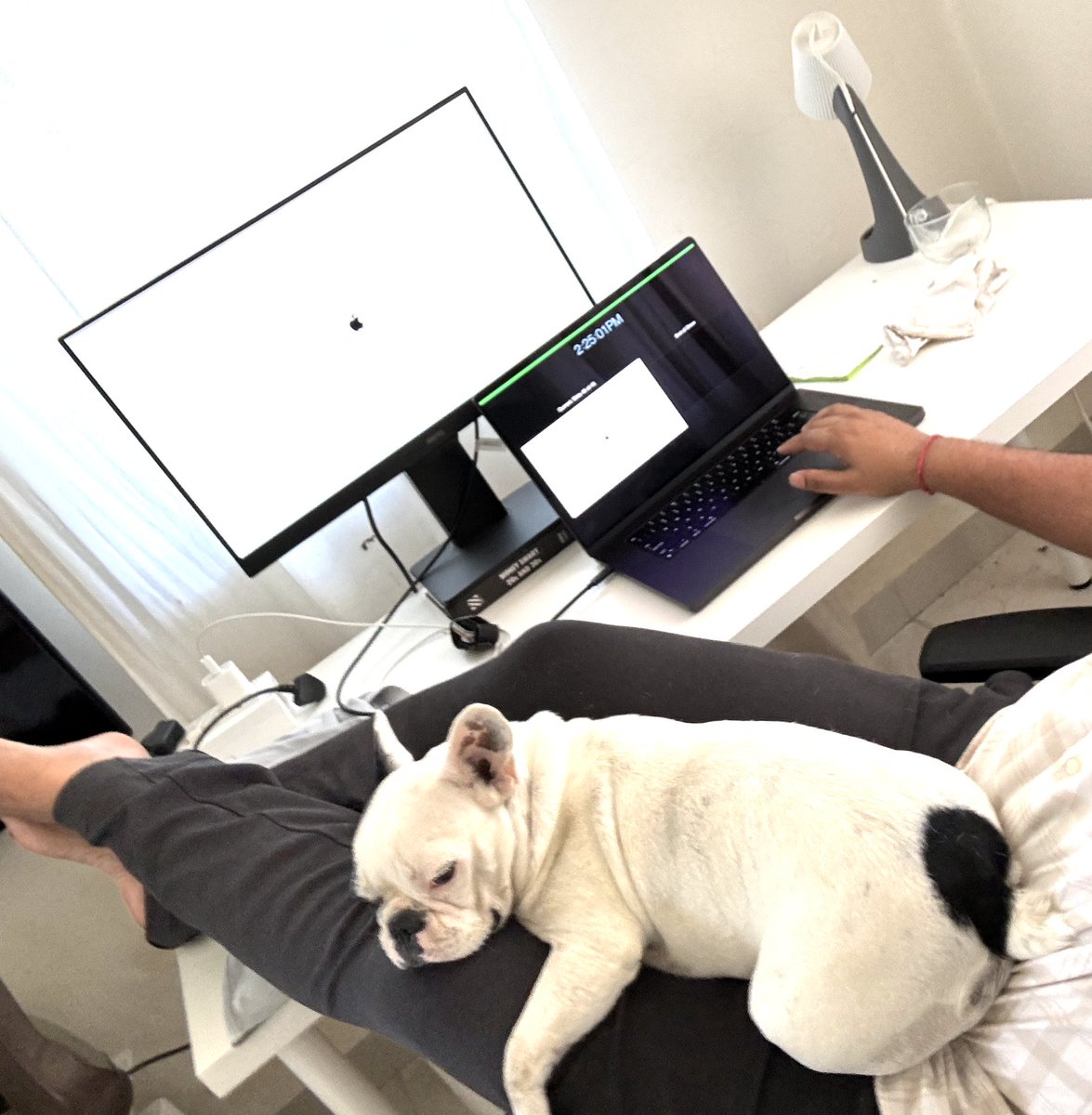 mithiljadhav's tweet photo. Bella posing after the news of Meditate app being a finalist for the Apple Design Awards 2024. She never cared until now for this pic.. 🐶✨ #AppleDesignAwards #Meditation #WWDC24 #DogsofTwitter #AppDesign #ProudMoment #DogsOfWWDC #FrenchBulldog #Frenchie #DogsofInstagram https://t.co/r1E87pyc8g
