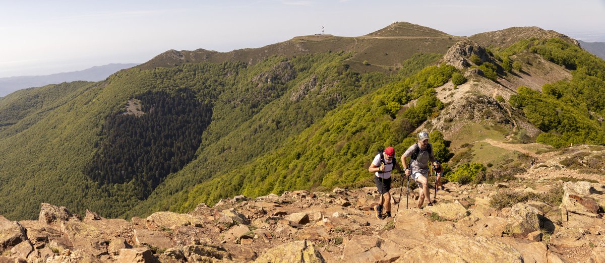 El Montseny es vesteix de primavera. 

La 48a <a href="/TMontseny/">Travessa Montseny</a> aplega a uns 300 participants en una jornada rodona del Circuit Català de Caminades de Resistència. 

➕ INFO ➡️tuit.cat/NK8Gf

#sentlamuntanya #sommuntanya #somcaminades