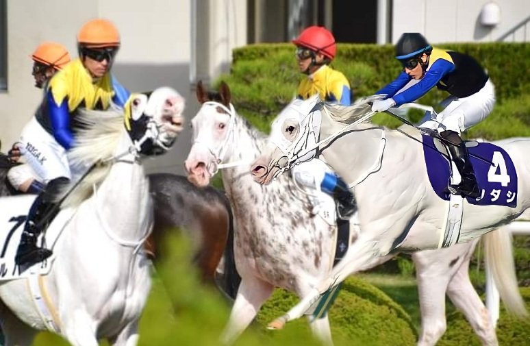 ブチ子と源☺︎☻ ブチコ